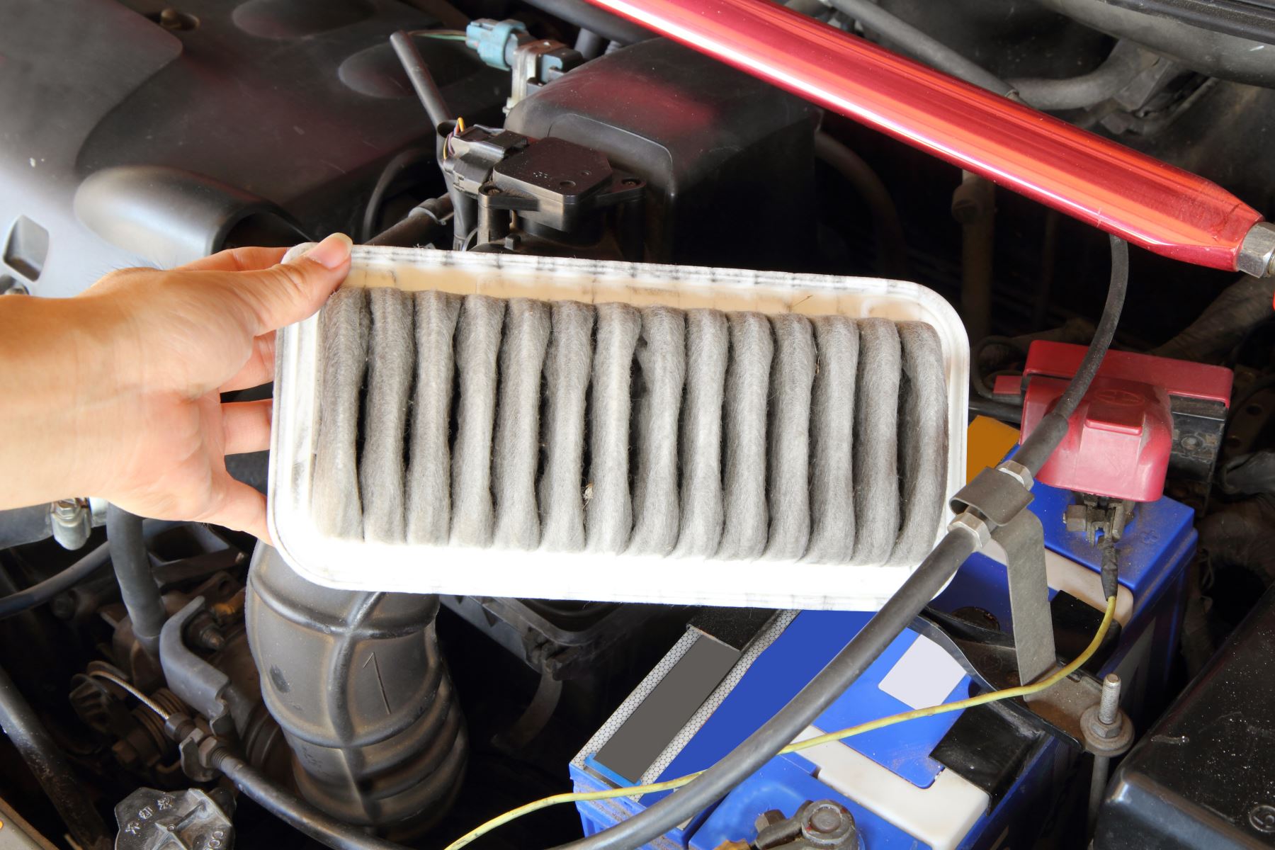Engine Air Filter vs. Cabin Air Filter: What's the Difference